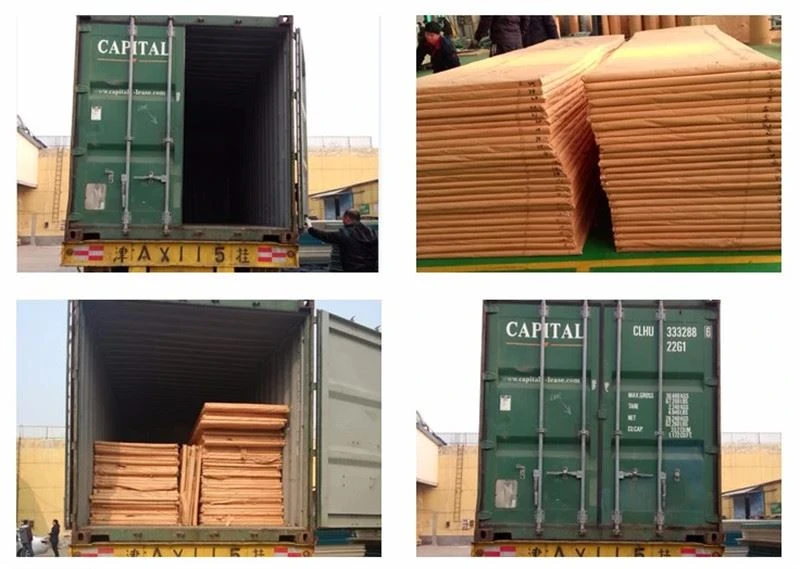 Shipping Shipping